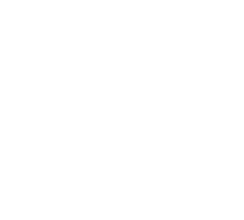 ZVoice